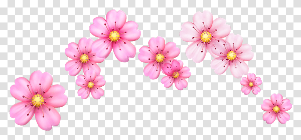 Cherry Blossom Flowers Emoji Image Flower Emoji Crown, Plant, Anther, Petal Transparent Png