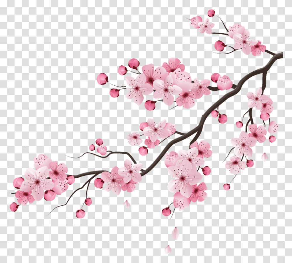 Cherry Blossom Gif, Plant, Flower Transparent Png