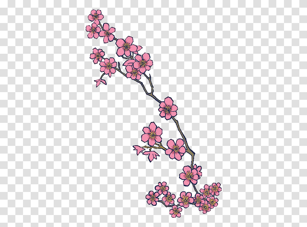 Cherry Blossom Hd Clipart Cherry Blossom Tattoo Designs, Plant, Flower, Geranium, Floral Design Transparent Png