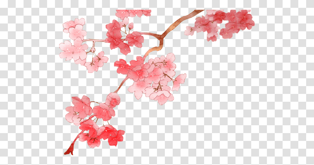 Cherry Blossom Image Anime Cherry Blossom, Plant, Flower, Leaf Transparent Png