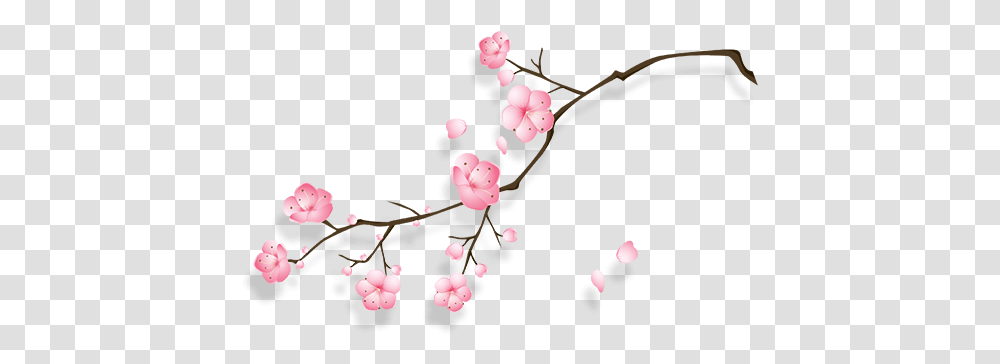 Cherry Blossom Image Cherry Blossom Cny, Plant, Flower, Fruit, Food Transparent Png