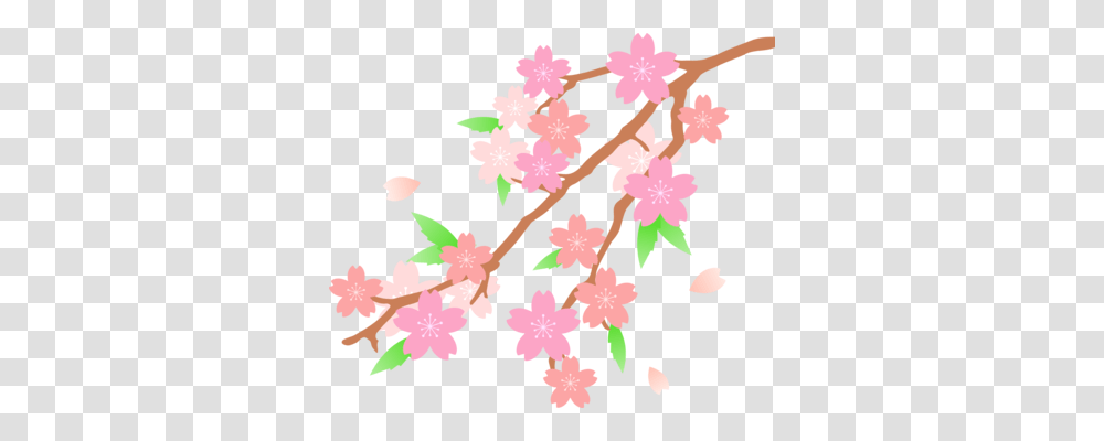 Cherry Blossom Japan Flower, Plant, Pattern, Floral Design Transparent Png