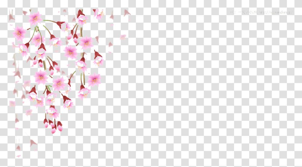 Cherry Blossom Leaves Falling Cherry Blossom Falling, Floral Design, Pattern Transparent Png