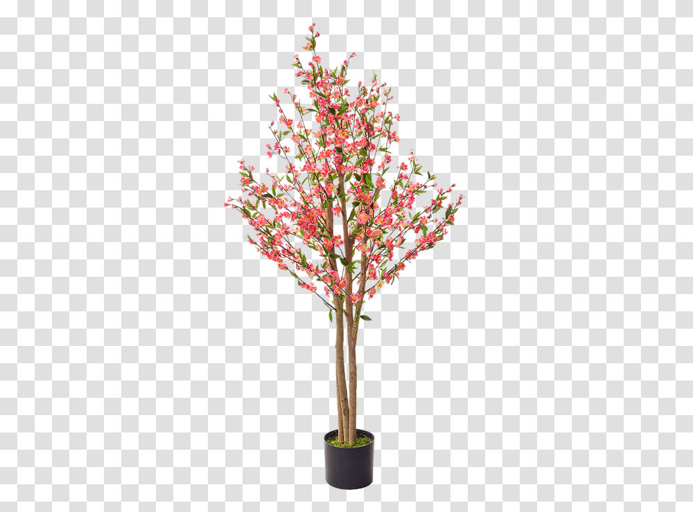 Cherry Blossom Mysite 4 Artificial Flower, Plant, Tree, Flower Arrangement, Floral Design Transparent Png