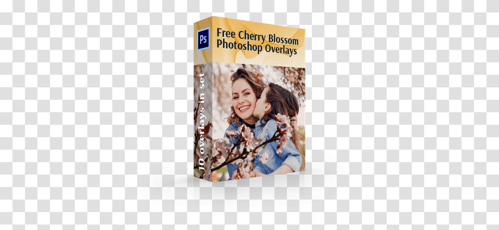 Cherry Blossom Overlays Book Cover, Advertisement, Poster, Collage, Person Transparent Png