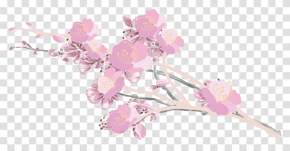 Cherry Blossom Petals Cherry Blossom Aesthetic, Plant, Floral Design Transparent Png