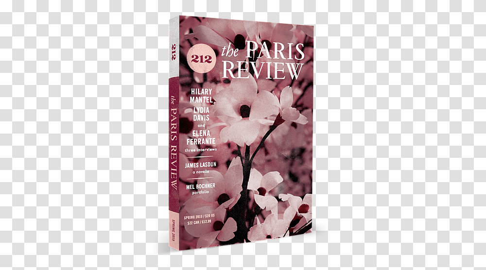 Cherry Blossom Petals Falling Paris Review 2017 Lovely, Advertisement, Poster, Flyer, Paper Transparent Png