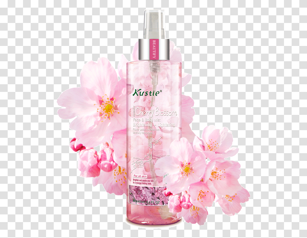 Cherry Blossom, Plant, Flower, Bottle, Wedding Cake Transparent Png