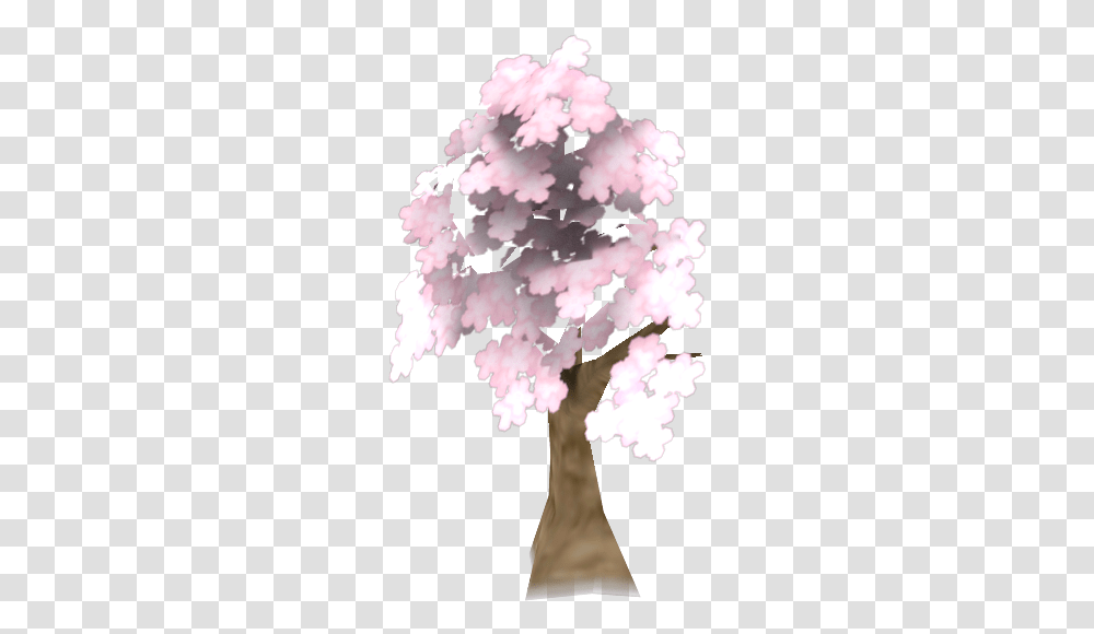 Cherry Blossom, Plant, Flower, Petal, Tree Transparent Png