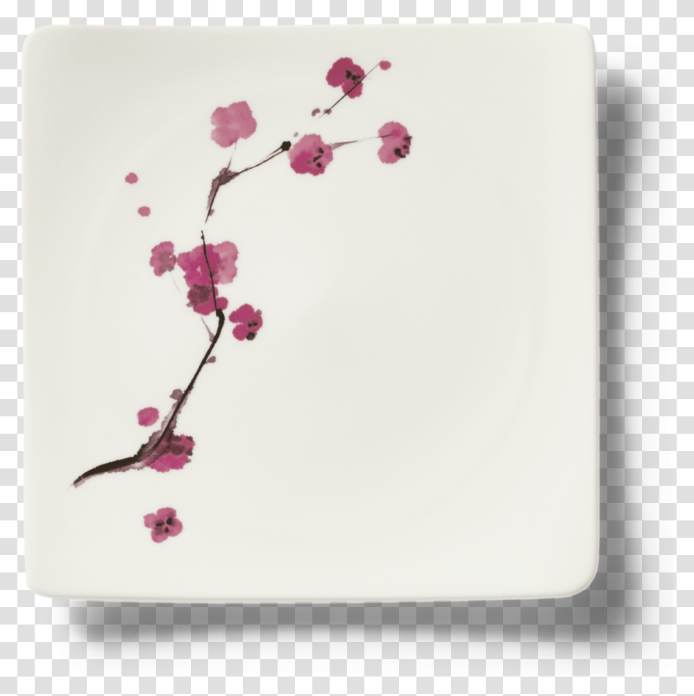 Cherry Blossom, Plant, Flower, Porcelain Transparent Png