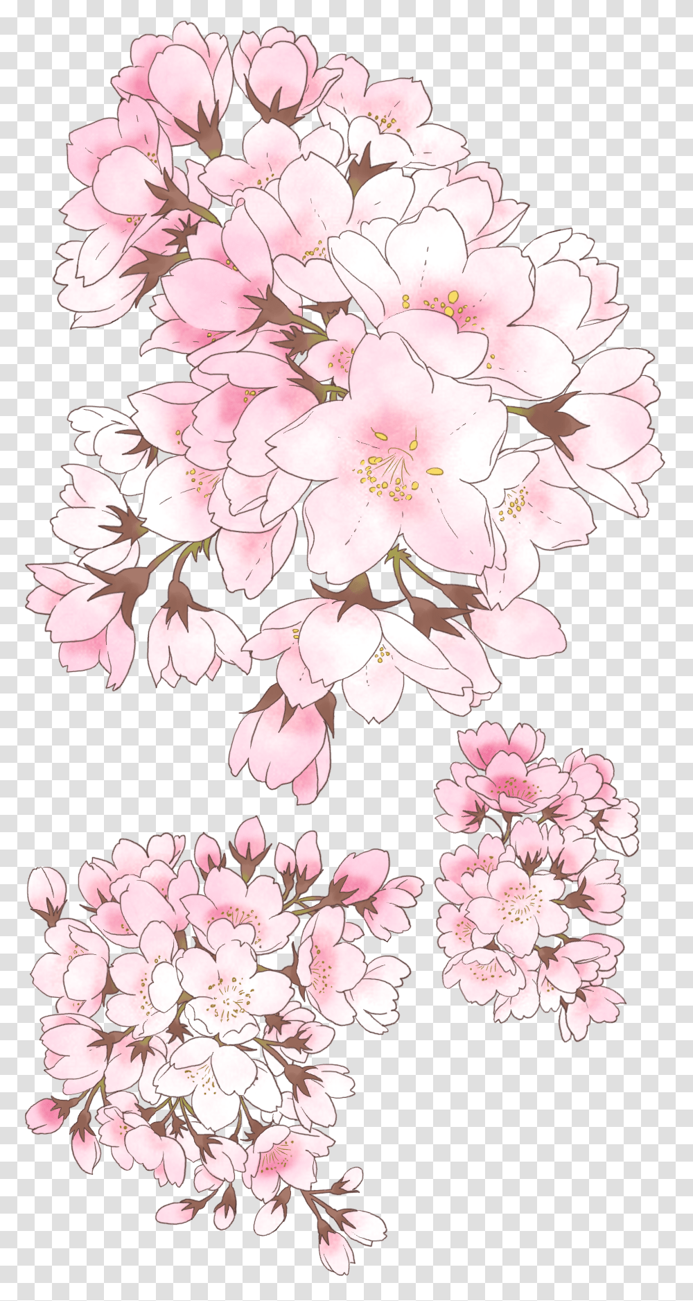 Cherry Blossom, Plant, Flower, Rug, Pineapple Transparent Png