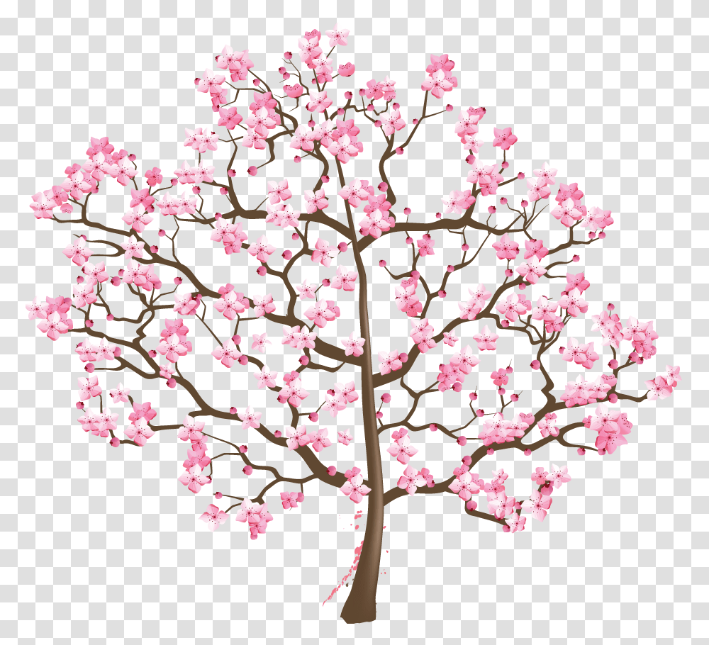 Cherry Blossom, Plant, Flower Transparent Png