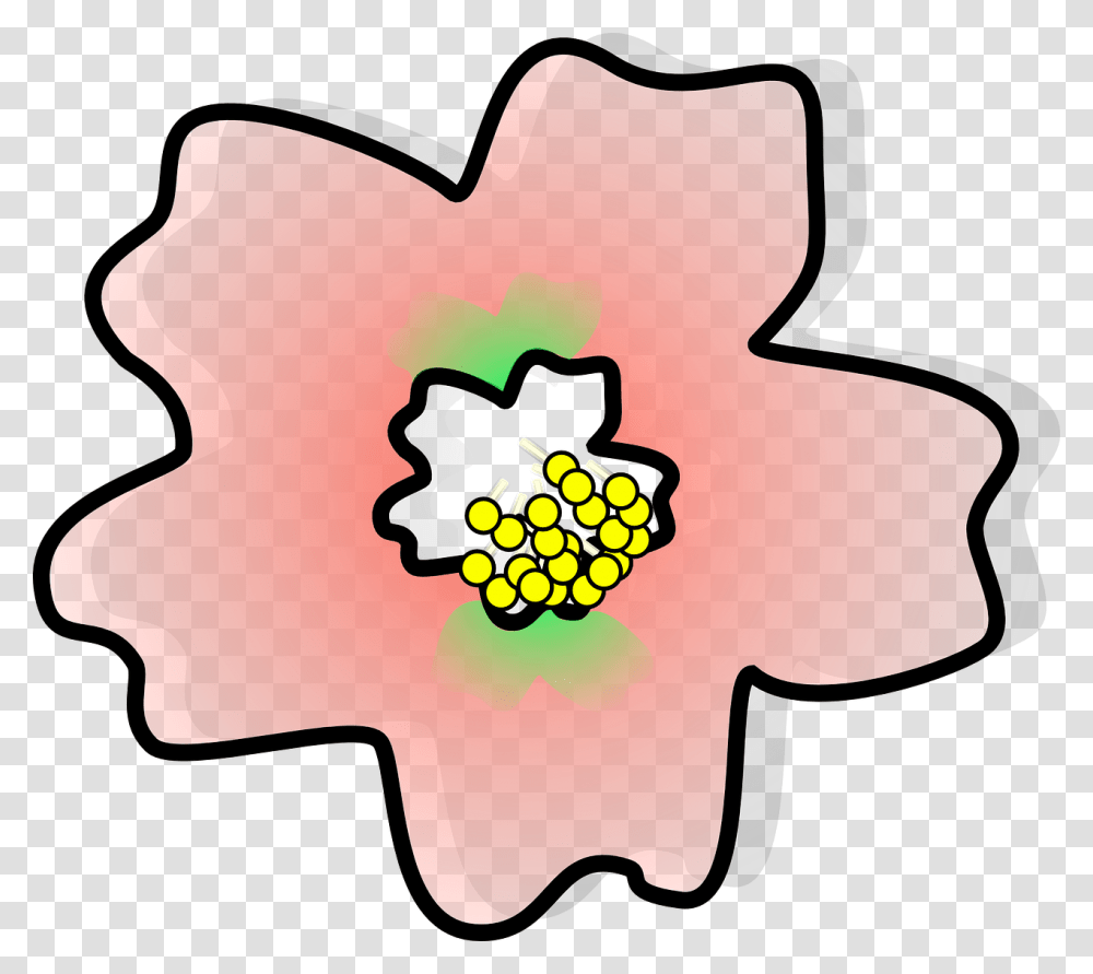 Cherry Blossom, Plant, Hibiscus, Flower, Cow Transparent Png