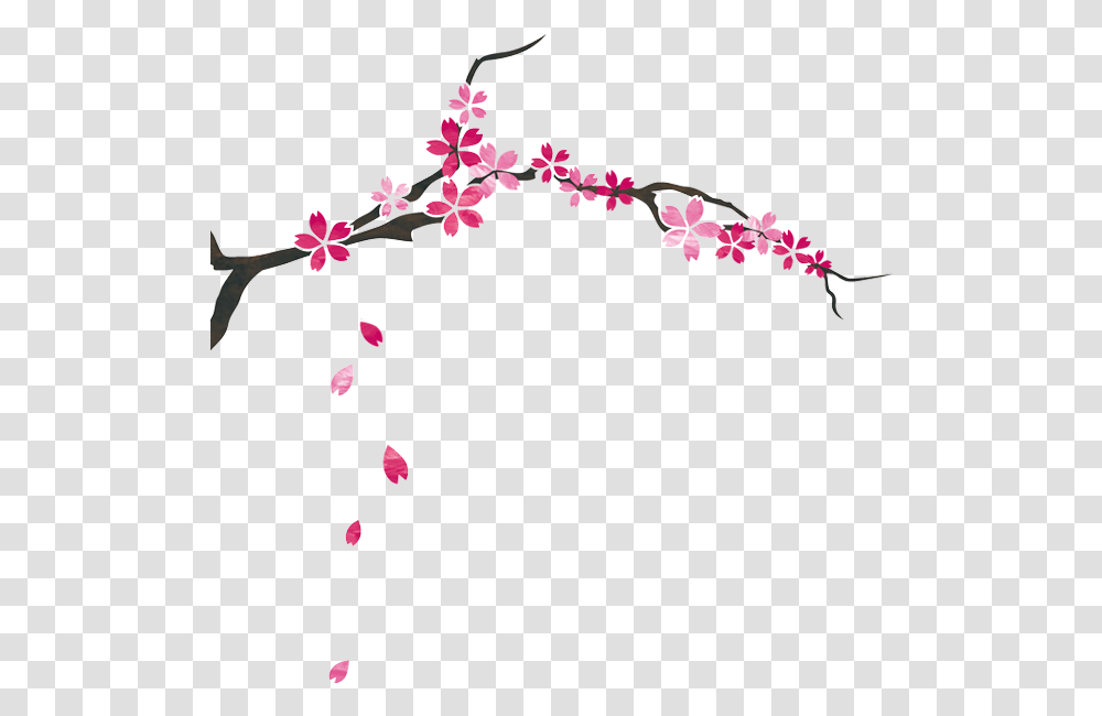 Cherry Blossom, Plant, Petal, Flower Transparent Png