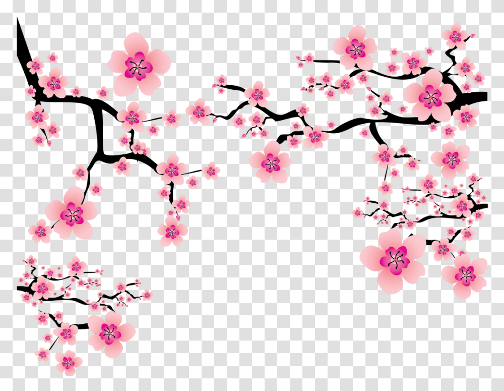 Cherry Blossom Plum Clip Art Cherry Blossom, Plant, Flower, Petal, Pattern Transparent Png