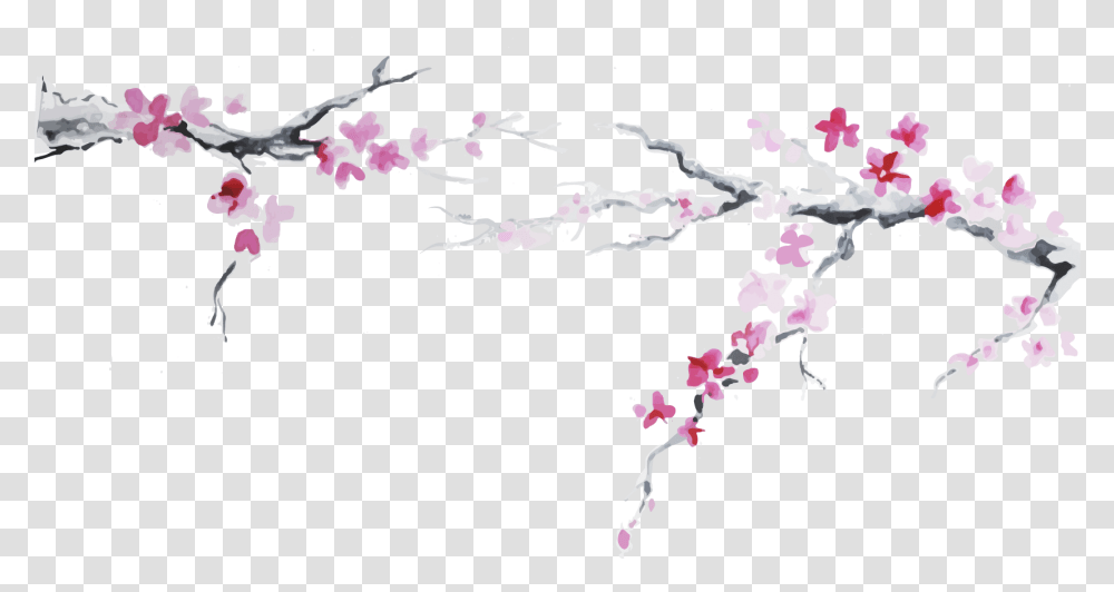 Cherry Blossom Plum Flower Clipart Japan Cherry Blossom, Plant, Petal Transparent Png