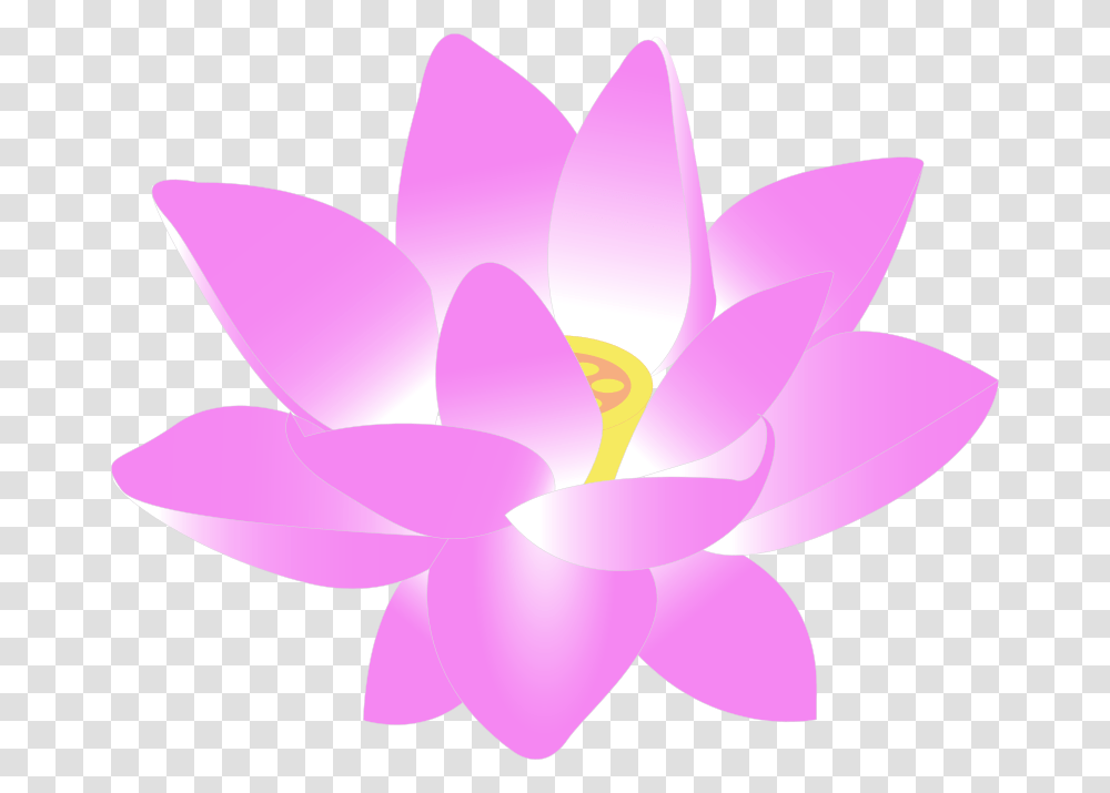 Cherry Blossom Sakura Clipart Free Clip Art, Plant, Lily, Flower, Pond Lily Transparent Png