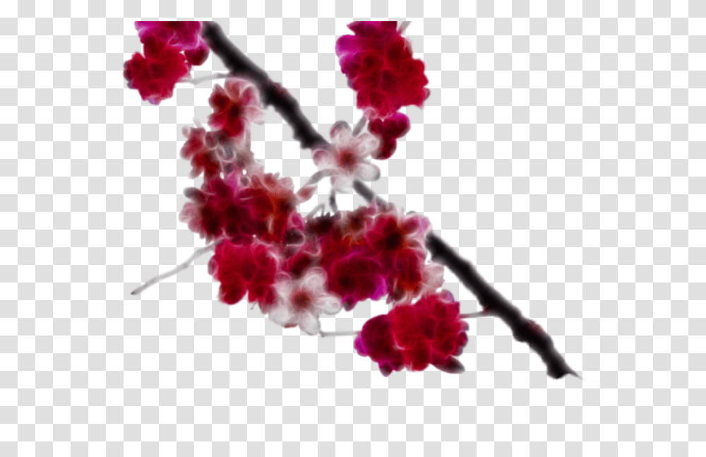 Cherry Blossom Sakura Flower Clip Art Gardening Flower, Plant, Geranium, Pattern, Petal Transparent Png