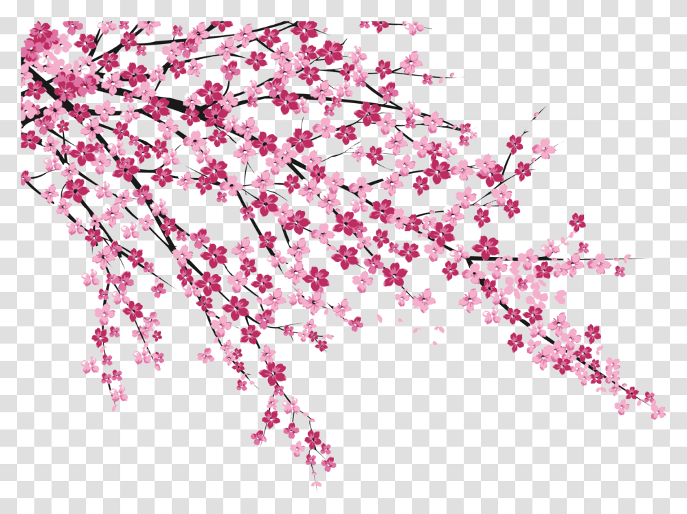 Cherry Blossom Sakura No Hanabiratachi Wall Painting Sakura Cherry Blossom, Petal, Flower, Plant, Paper Transparent Png