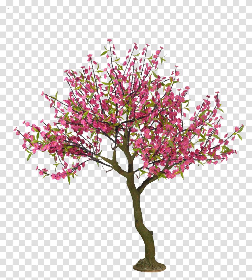 Cherry Blossom Tree Free Library Cherry Blossom Tree Drawings, Plant, Flower, Leaf Transparent Png