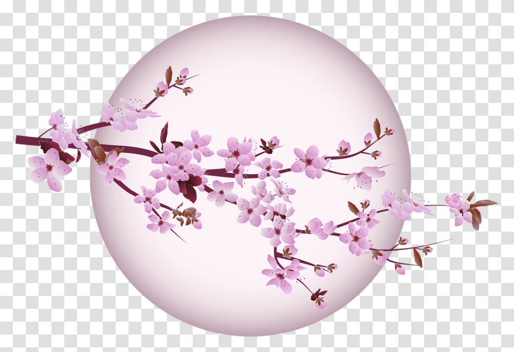 Cherry Blossom Tree Free Vector Graphic On Pixabay Still Life Photography, Plant, Flower, Sphere, Clothing Transparent Png