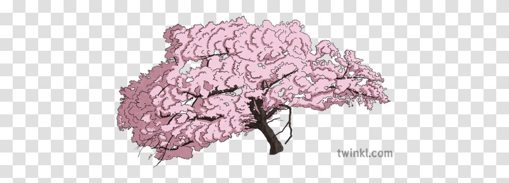 Cherry Blossom Tree Object Plant Flower Hanami Sakura Spring Girly, Doodle, Drawing, Art, Zebra Transparent Png