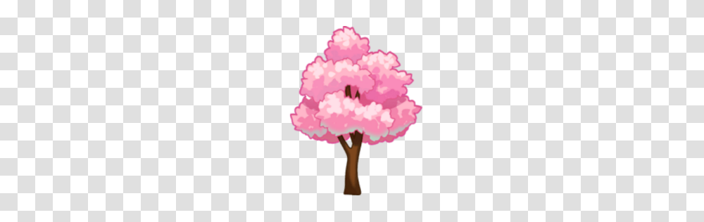 Cherry Blossom Tree, Plant, Carnation, Flower, Lamp Transparent Png