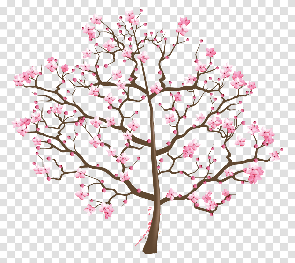 Cherry Blossom Tree Suzuki Cherry Blossom Tree Images Download Cherry Blossom Tree, Plant, Flower Transparent Png
