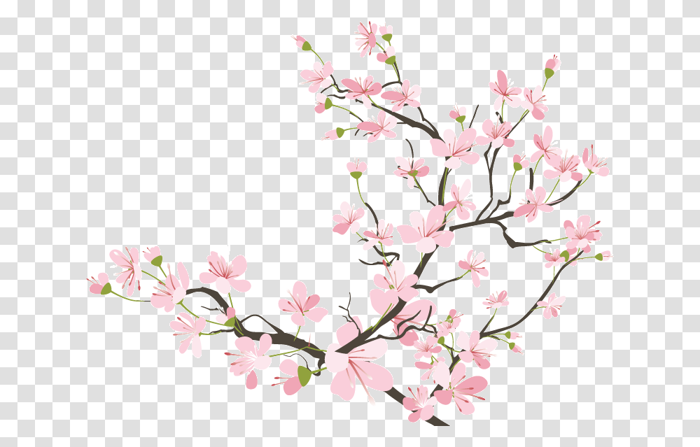 Cherry Blossom Tumblr At Japanese Cherry Blossom, Plant, Flower, Petal Transparent Png