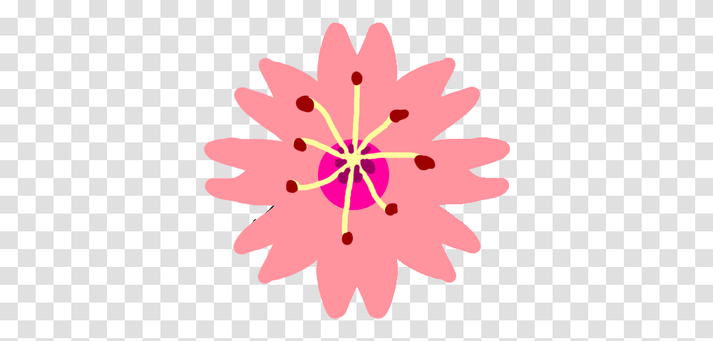 Cherry Blossoms Cutie Mark Flower Blossom Decorative, Plant, Anther, Daisy, Daisies Transparent Png