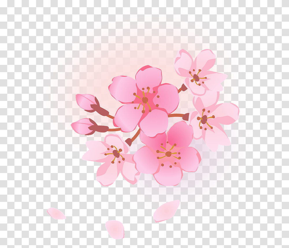 Cherry Blossoms Flower Clipart, Plant, Rug Transparent Png