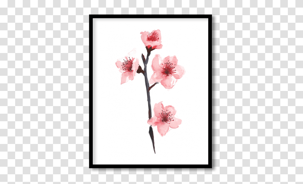 Cherry Blossoms Posters Paintings Framed Wall Art Twig, Plant, Flower Transparent Png