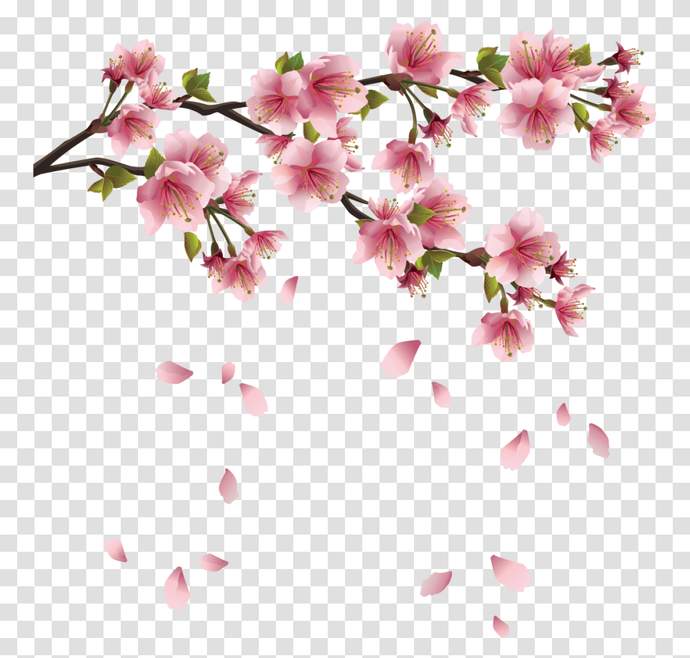 Cherry Blossoms Sakura Flower, Plant, Petal, Geranium Transparent Png