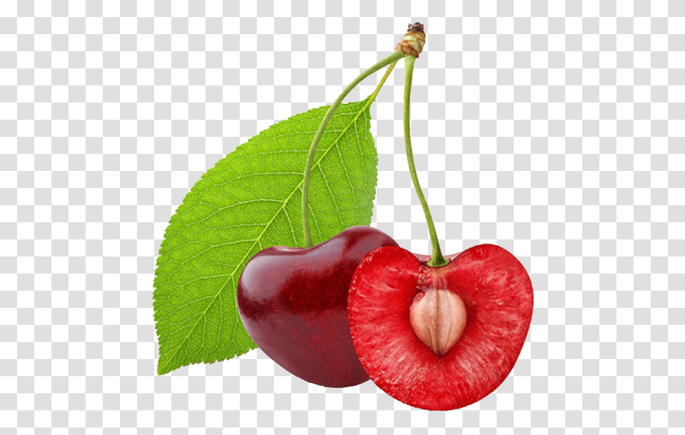 Cherry Cherry Fruit Cut In Half, Plant, Food Transparent Png