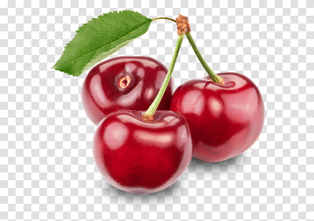 Cherry Cherry, Plant, Fruit, Food, Apple Transparent Png