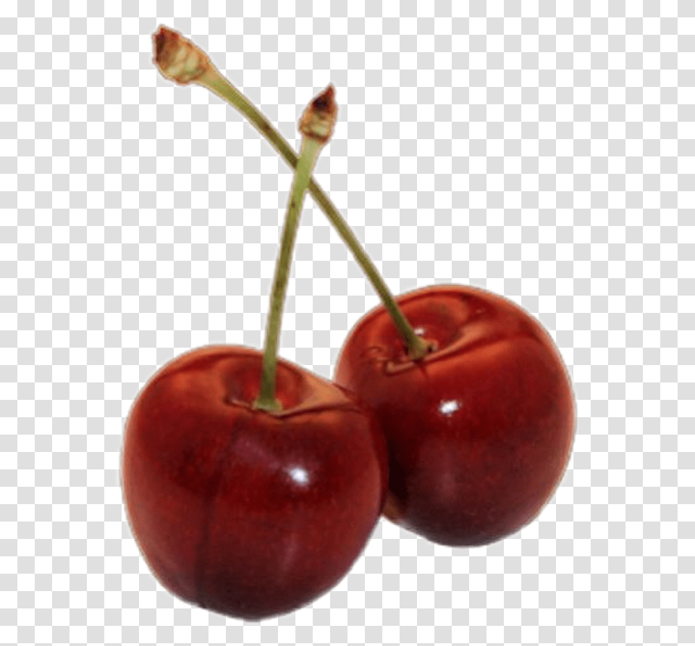 Cherry Cherrys Red Redaesthetic Sticker Freetoedit Aesthetic Fillers, Plant, Fruit, Food, Apple Transparent Png