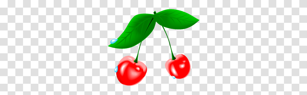 Cherry Clip Art, Plant, Fruit, Food Transparent Png