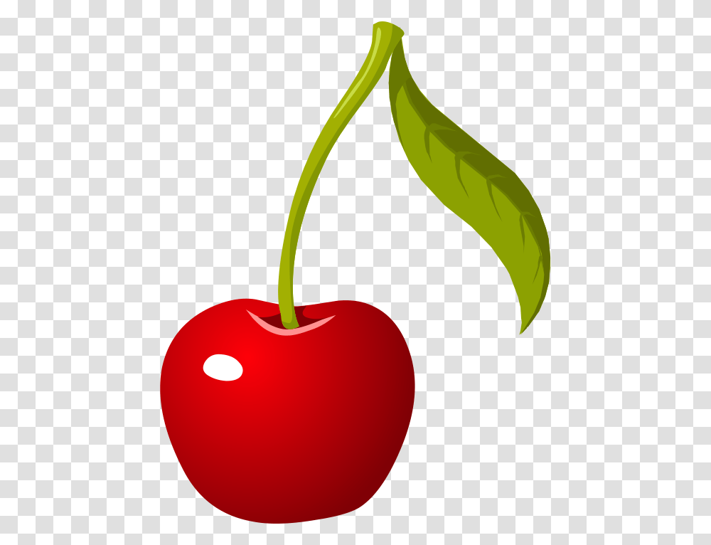 Cherry Clip Art, Plant, Fruit, Food Transparent Png