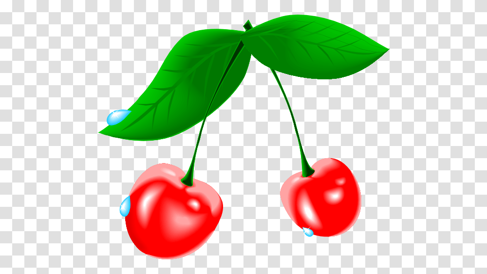 Cherry Clipart Cartoon, Plant, Fruit, Food Transparent Png