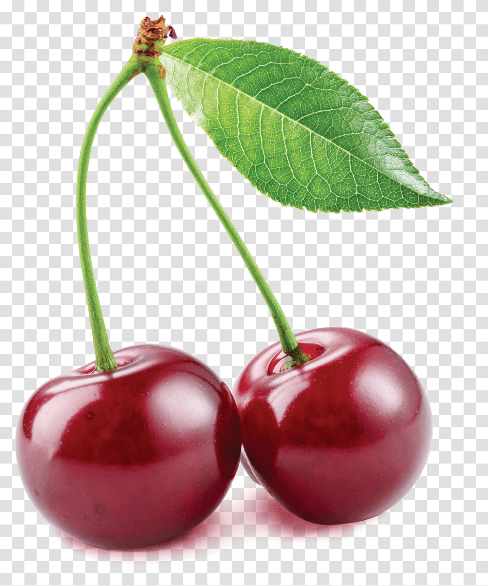Cherry Clipart Cherry Fruit Images Hd, Plant, Food Transparent Png
