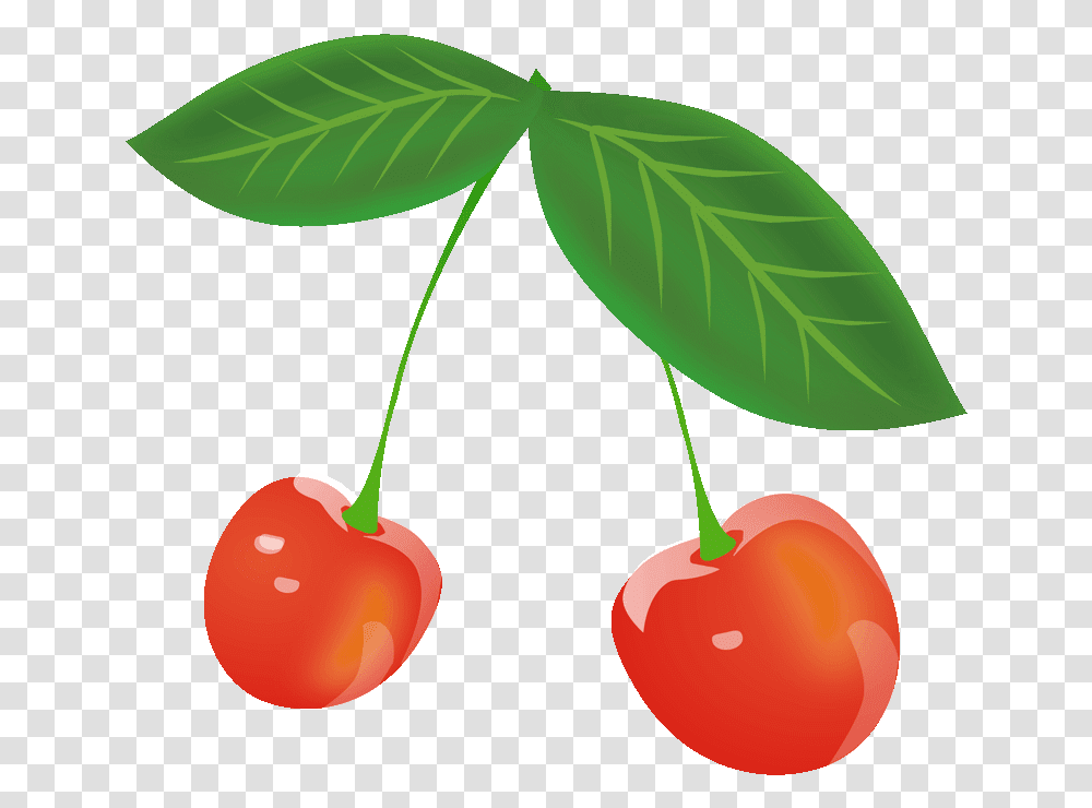 Cherry Clipart Cherry, Plant, Fruit, Food Transparent Png