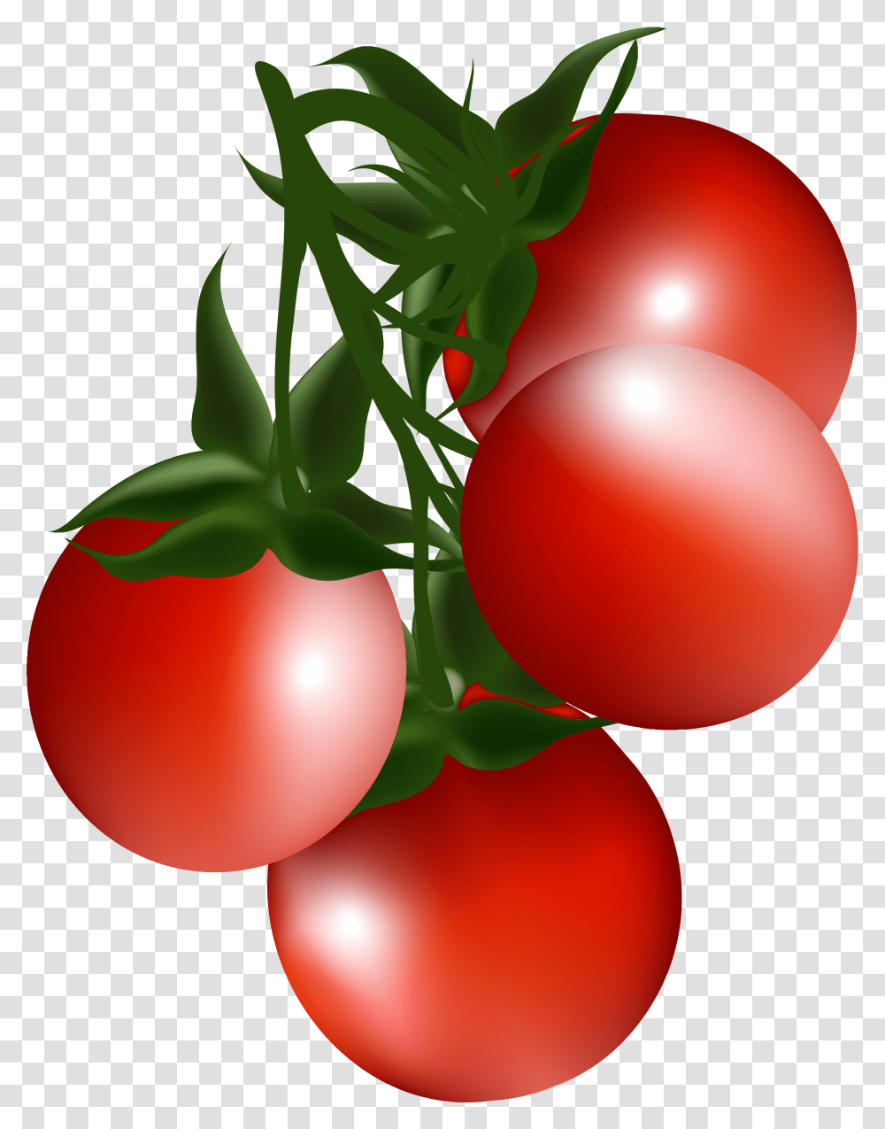 Cherry Clipart Cherry Tomato Clipart, Plant, Food, Fruit, Vegetable Transparent Png