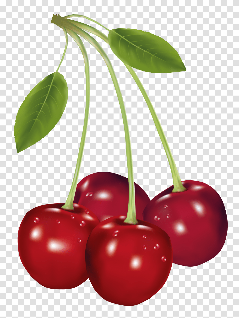 Cherry Clipart Cute, Plant, Fruit, Food Transparent Png