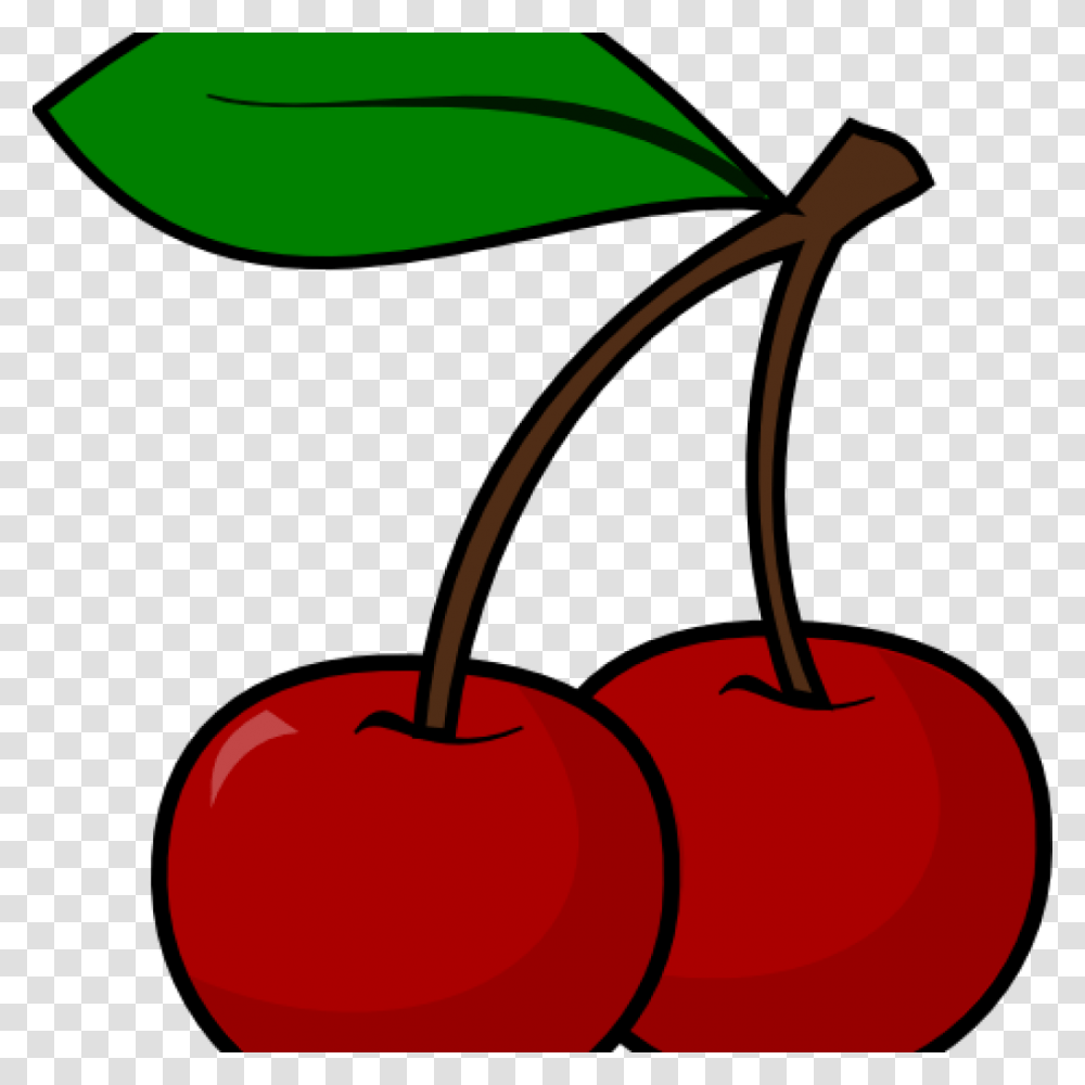 Cherry Clipart Free Clipart Download In Cherry Clipart, Plant, Fruit, Food, Lamp Transparent Png