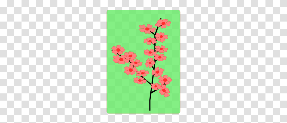 Cherry Clipart, Plant, Flower, Blossom Transparent Png