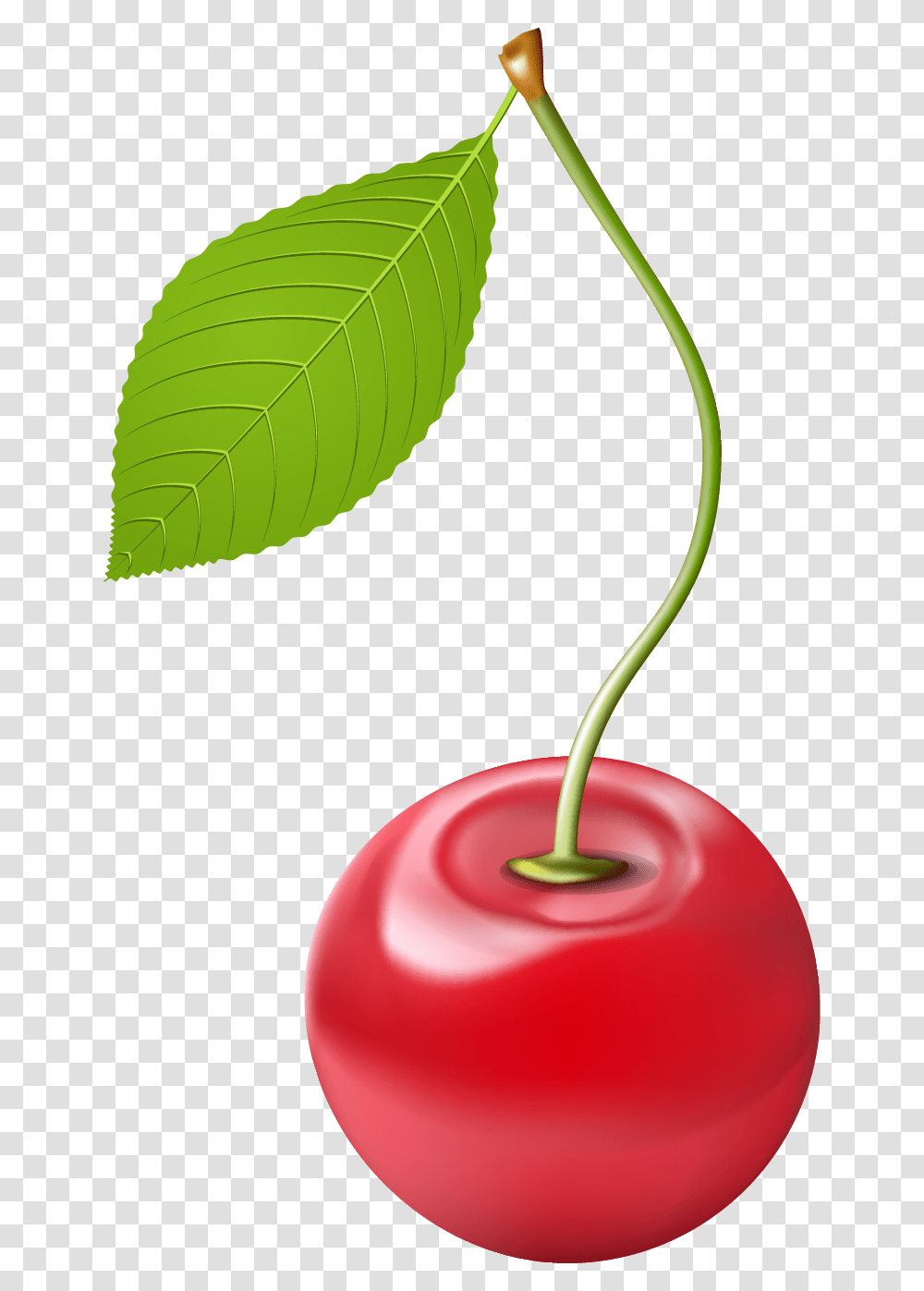 Cherry Clipart Image Cherry, Plant, Fruit, Food, Leaf Transparent Png