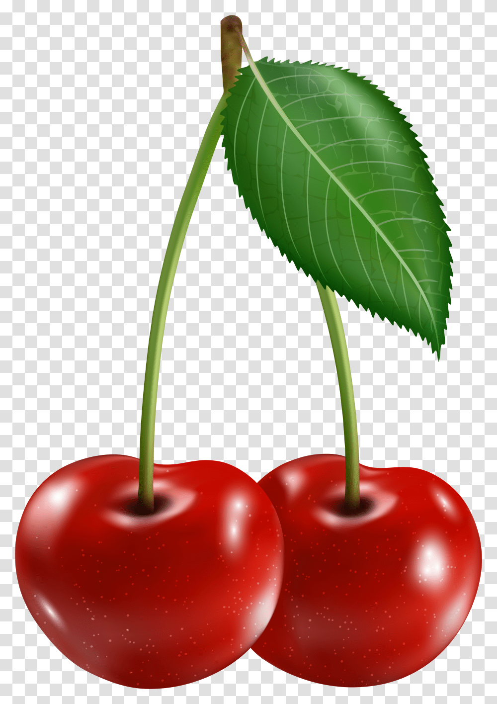 Cherry Clipart Image Clipart Cherries Transparent Png