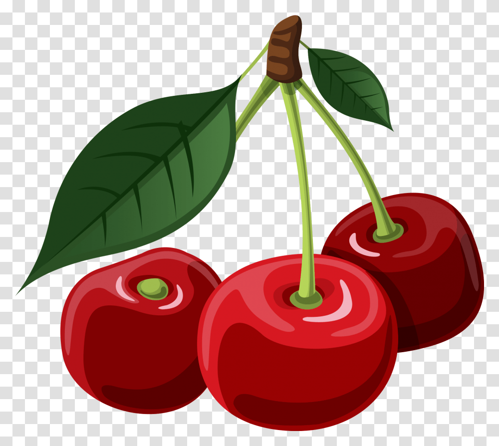 Cherry Clipart, Plant, Fruit, Food, Dynamite Transparent Png