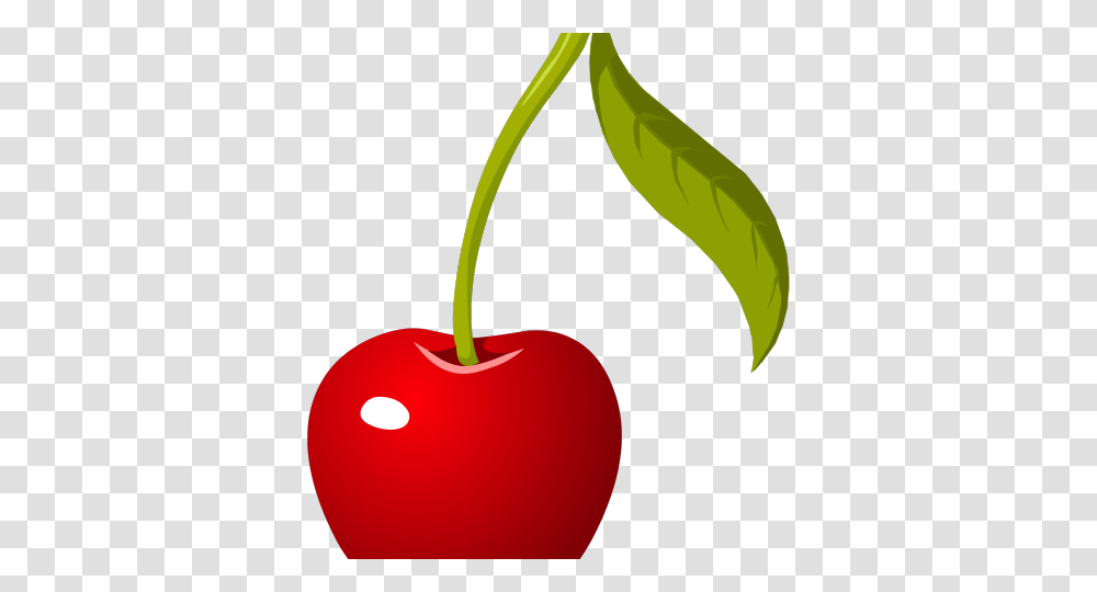 Cherry Clipart Summer Fruit, Plant, Food, Lamp Transparent Png