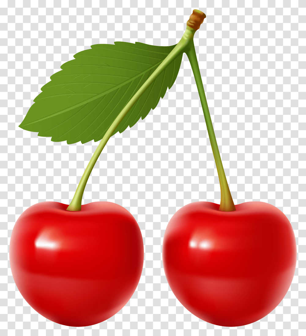 Cherry Clipart Transparent Png